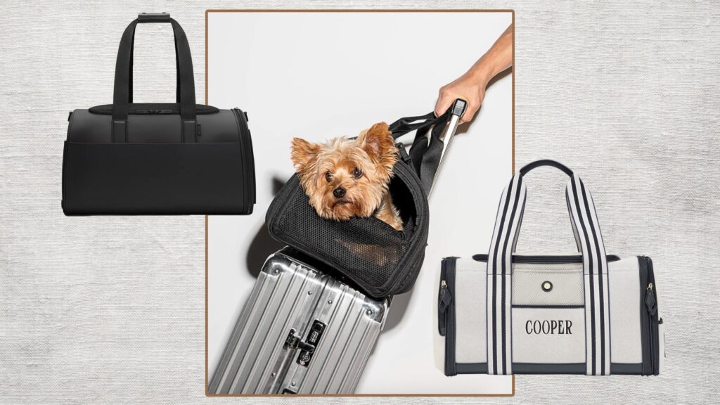 best airline dog carrier