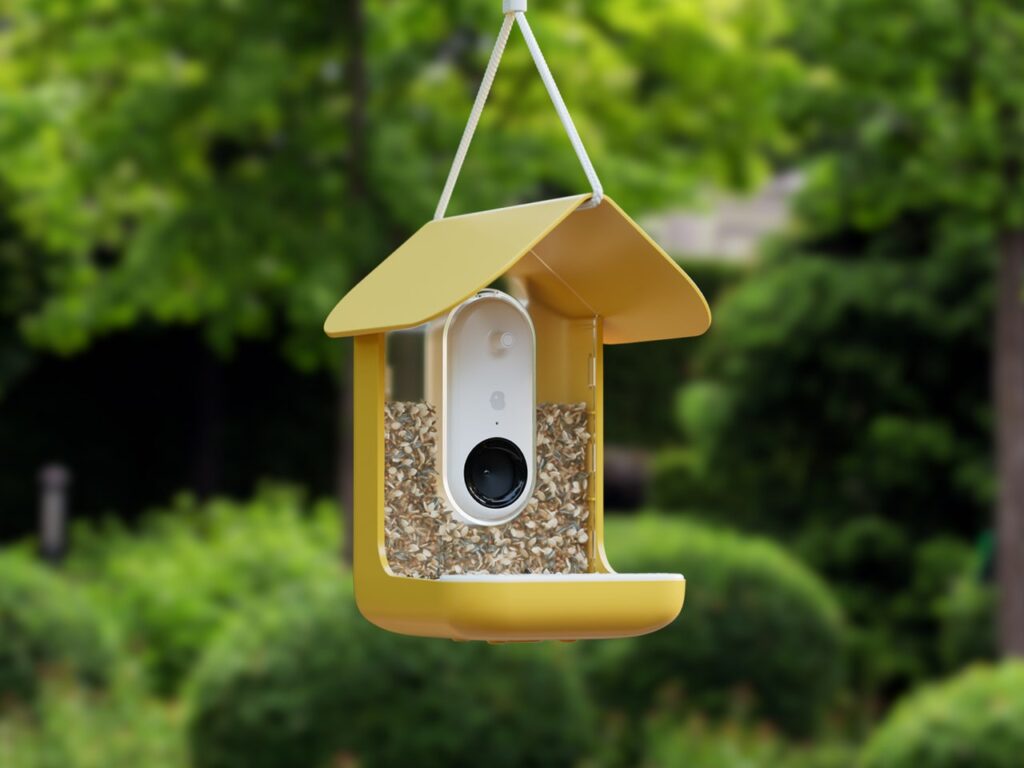 best bird feeder with camera