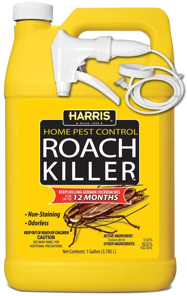 best bug spray for roaches