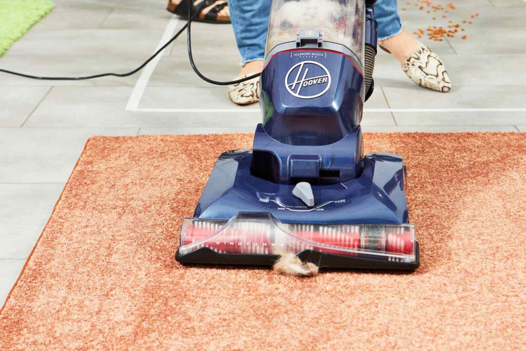 best carpet cleaner for carpet