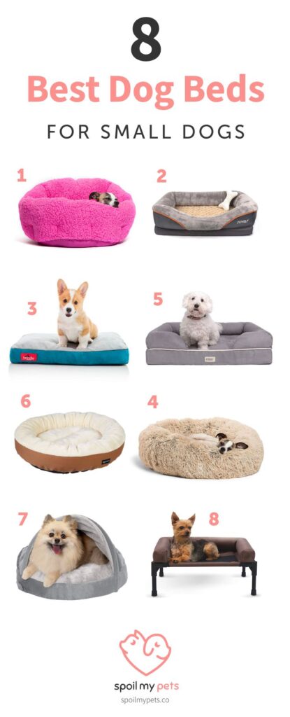 best dog beds for small dogs