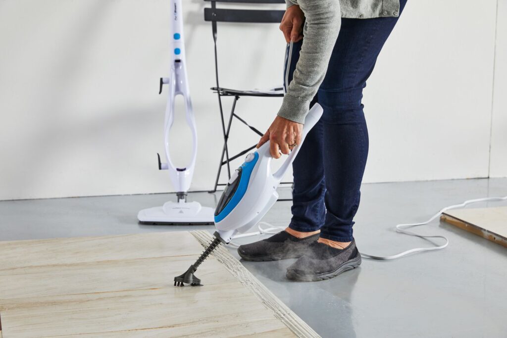 best handhels steam cleaner