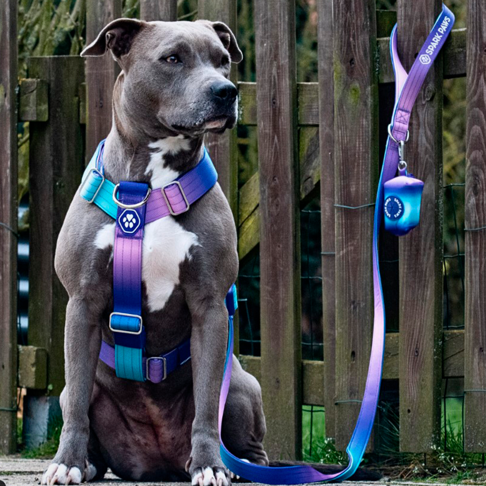 best harness for dog pulling