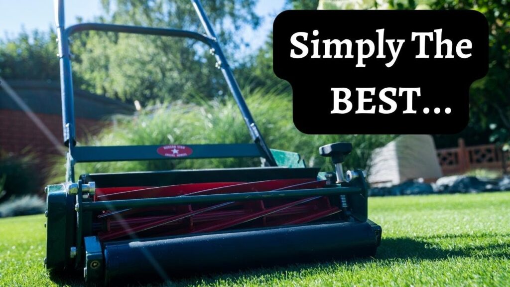 best reel mower