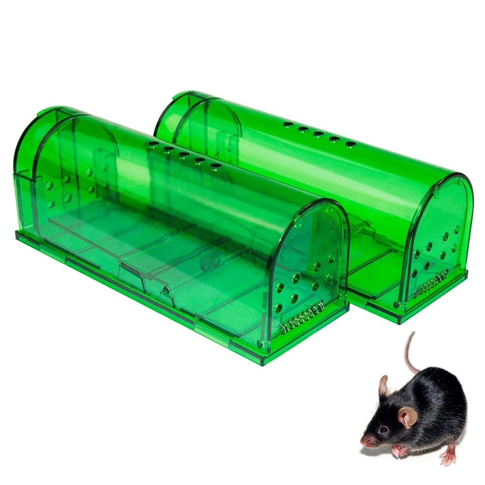 best rodent traps