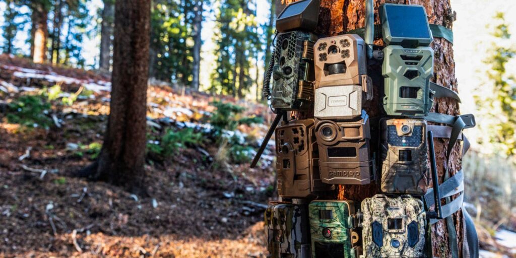 best trail camera